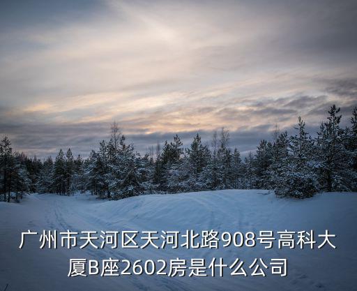 廣州市天河區(qū)天河北路908號(hào)高科大廈B座2602房是什么公司