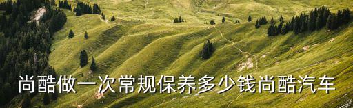 尚酷做一次常規保養多少錢尚酷汽車