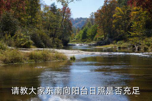 請教大家東南向陽臺日照是否充足