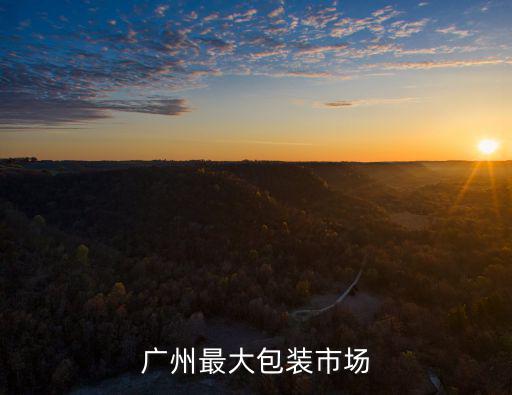 廣州最大包裝市場