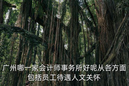 廣州哪一家會計師事務所好呢從各方面包括員工待遇人文關懷