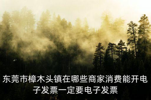 東莞市樟木頭鎮在哪些商家消費能開電子發票一定要電子發票