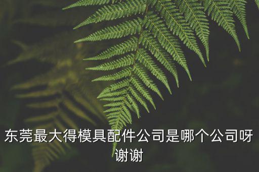 東莞最大得模具配件公司是哪個公司呀謝謝