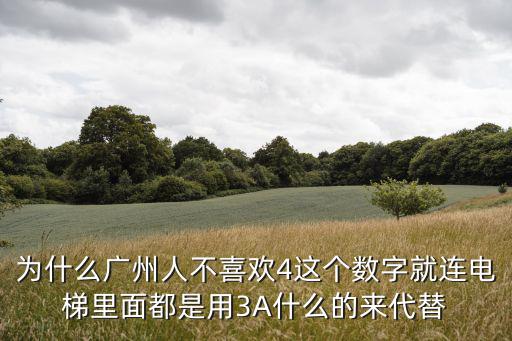 為什么廣州人不喜歡4這個數字就連電梯里面都是用3A什么的來代替