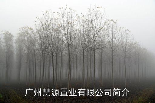 廣州慧源置業有限公司簡介