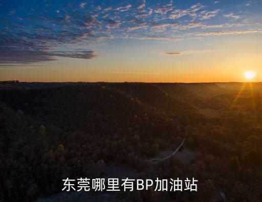 東莞哪里有BP加油站