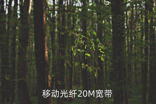 移動(dòng)光纖20M寬帶