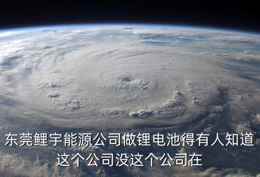 東莞鯉宇能源公司做鋰電池得有人知道這個公司沒這個公司在