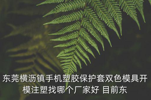 東莞橫瀝鎮(zhèn)手機(jī)塑膠保護(hù)套雙色模具開模注塑找哪個廠家好 目前東