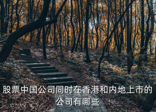 股票中國公司同時在香港和內地上市的公司有哪些