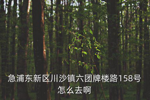 急浦東新區川沙鎮六團牌樓路158號怎么去啊