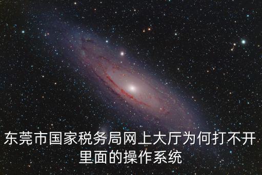 東莞市國家稅務(wù)局網(wǎng)上大廳為何打不開里面的操作系統(tǒng)