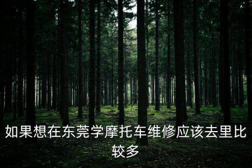 如果想在東莞學摩托車維修應該去里比較多