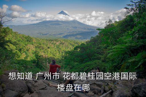 想知道 廣州市 花都碧桂園空港國際 樓盤在哪