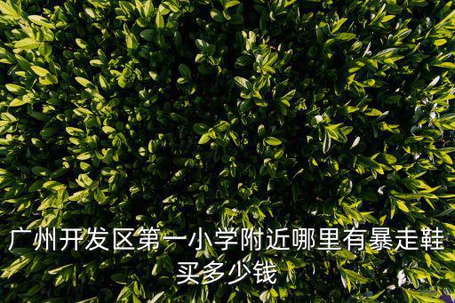 廣州開發區第一小學附近哪里有暴走鞋買多少錢