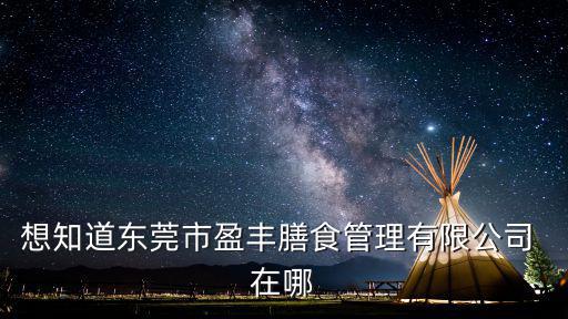 想知道東莞市盈豐膳食管理有限公司 在哪