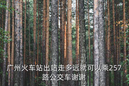 廣州火車站出站走多遠(yuǎn)就可以乘257路公交車謝謝