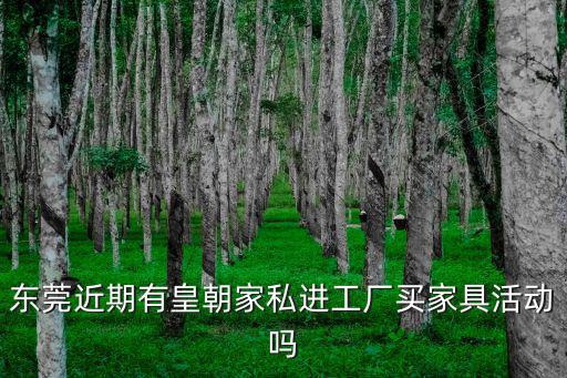 東莞近期有皇朝家私進工廠買家具活動嗎