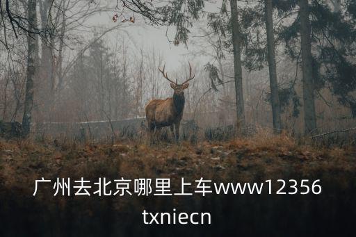 廣州去北京哪里上車www12356txniecn