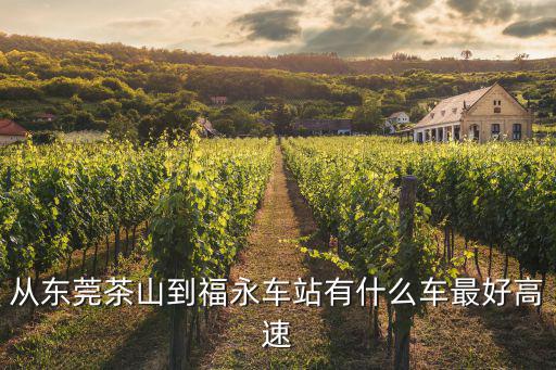 從東莞茶山到福永車站有什么車最好高速