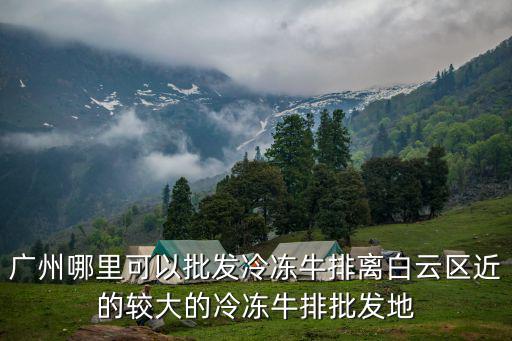 廣州哪里可以批發(fā)冷凍牛排離白云區(qū)近的較大的冷凍牛排批發(fā)地