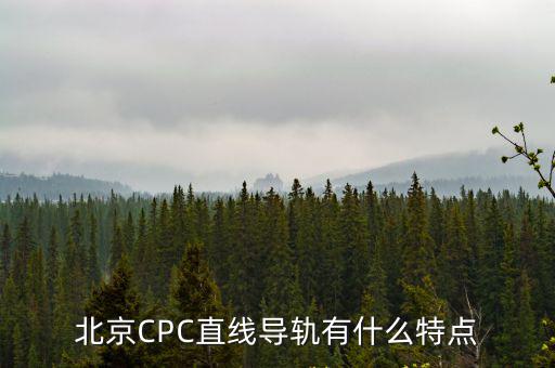 北京CPC直線導軌有什么特點