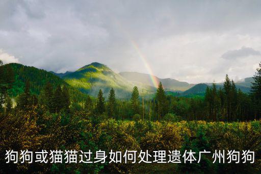 狗狗或貓貓過(guò)身如何處理遺體廣州狗狗