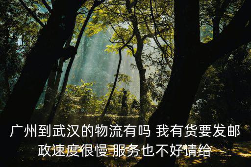 廣州到武漢的物流有嗎 我有貨要發郵政速度很慢 服務也不好請給