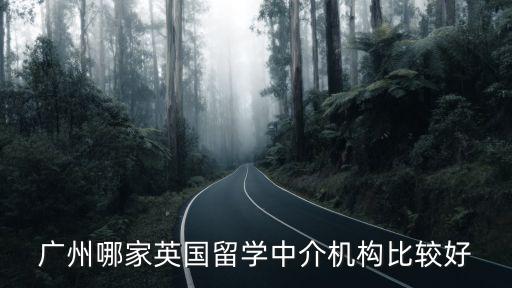 廣州幻嘉網絡，廣州美盟企業管理咨詢有限公司是不是騙子啊是不是做打火機的啊