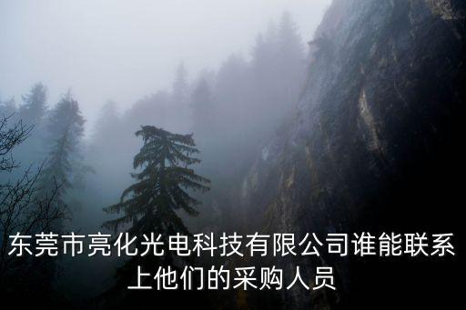 東莞市龍興光電科技有限公司，東莞那里有做 LED和二極管閃光燈 的光電企業(yè)公司