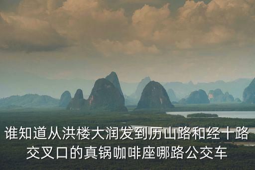 廣州真鍋咖啡，誰知道從洪樓大潤發到歷山路和經十路交叉口的真鍋咖啡座哪路公交車