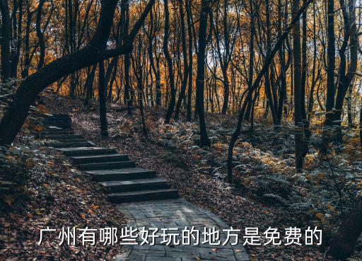 廣州有哪些好玩的地方是免費的