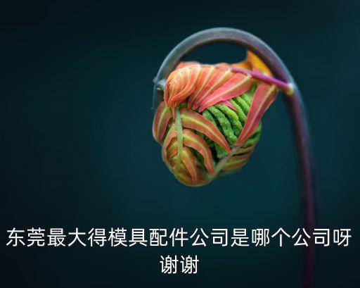 東莞銘藝塑膠，東莞長安廈崗科技園現(xiàn)在有那些塑膠廠在招普工