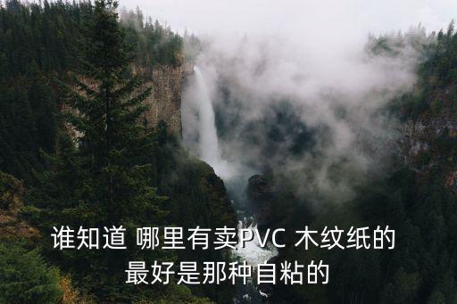 誰知道 哪里有賣PVC 木紋紙的 最好是那種自粘的
