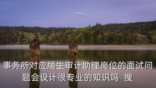 事務(wù)所對應(yīng)屆生審計(jì)助理崗位的面試問題會(huì)設(shè)計(jì)很專業(yè)的知識(shí)嗎  搜