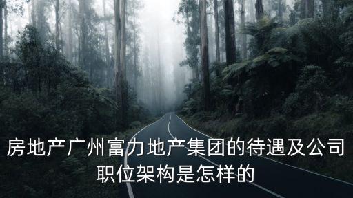 房地產廣州富力地產集團的待遇及公司職位架構是怎樣的