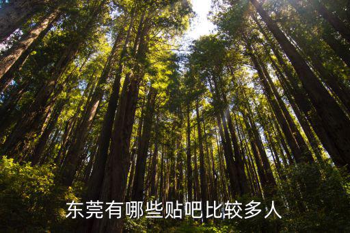 東莞城市吧，東莞是一座怎樣的城市請(qǐng)從治安環(huán)境發(fā)展空間城市潛力方面作