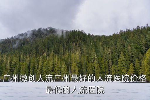 廣州微創人流廣州最好的人流醫院價格最低的人流醫院