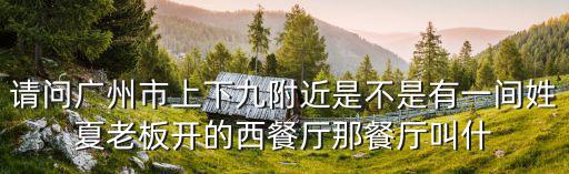 請問廣州市上下九附近是不是有一間姓夏老板開的西餐廳那餐廳叫什