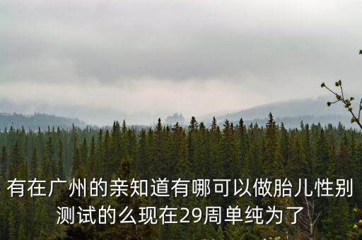 廣州白云區(qū)查胎兒性別，廣州有做胎兒性別鑒定的嗎