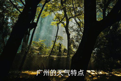廣州的天氣特點(diǎn)