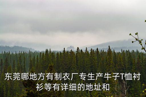 東莞哪地方有制衣廠專生產(chǎn)牛子T恤襯衫等有詳細(xì)的地址和