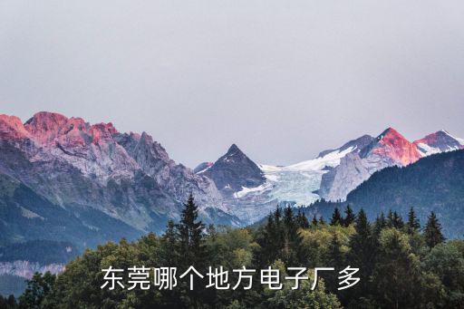 東莞哪個(gè)地方電子廠多