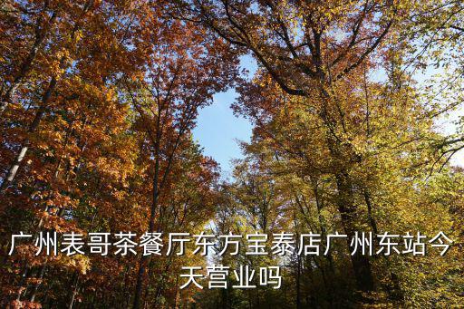 廣州表哥茶餐廳東方寶泰店廣州東站今天營業嗎
