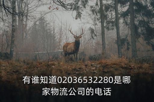 有誰(shuí)知道02036532280是哪家物流公司的電話