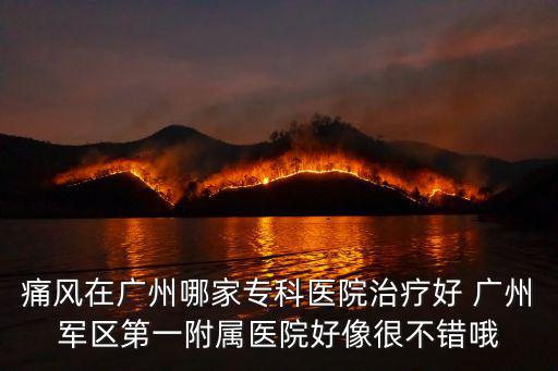 痛風在廣州哪家專科醫院治療好 廣州軍區第一附屬醫院好像很不錯哦