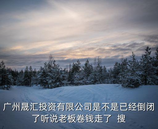 廣州晟匯投資有限公司是不是已經倒閉了聽說老板卷錢走了  搜