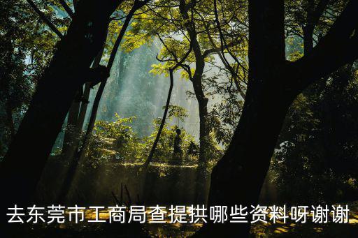 去東莞市工商局查提拱哪些資料呀謝謝