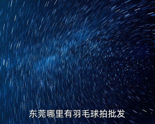 東莞哪里有羽毛球拍批發