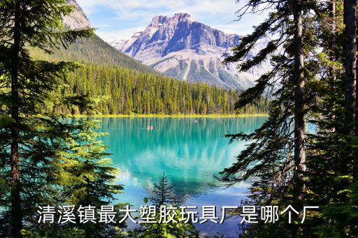 清溪鎮(zhèn)最大塑膠玩具廠是哪個廠
